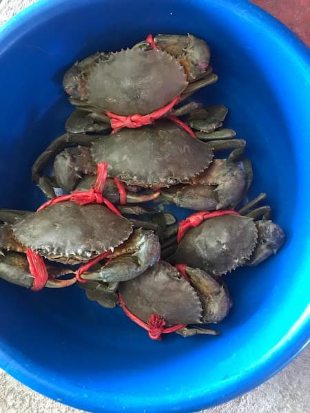 Hình ảnh Nhà hàng Biển Ngọc - 3