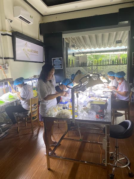 Hình ảnh Yến Sào Ngọc Đăng - 5