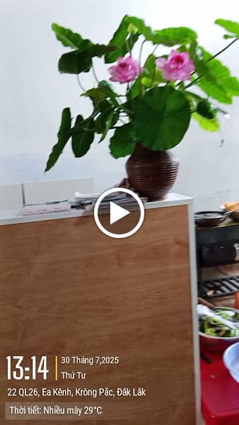 Hình ảnh Cơm & Cà Phê Ngon Đắk Lắk Km22 - 4