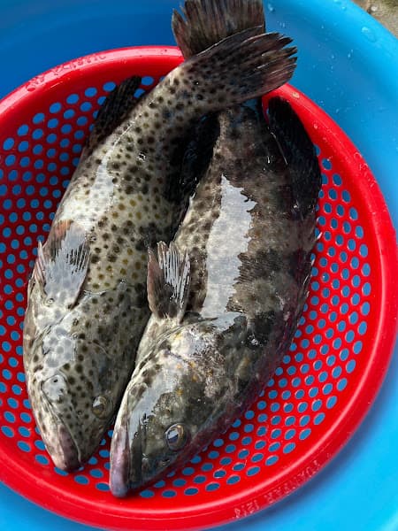 Hình ảnh Bánh xèo - Hải sản - Định Đầm Chuồn - 6