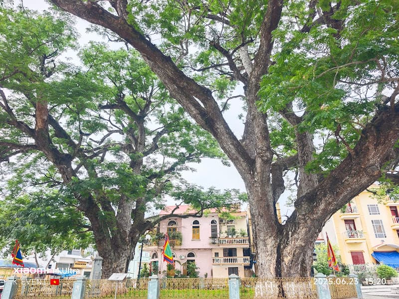 Ảnh bìa Giếng Rừng