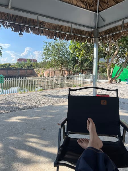 Hình ảnh Tiền Phong Pickleball - 8