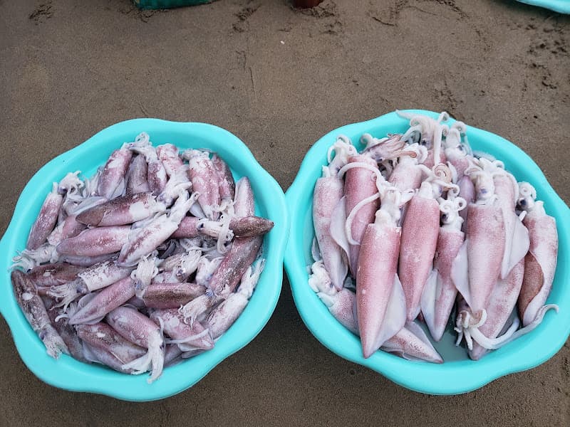Hình ảnh Chợ Hải Sản Hải Hòa - 3