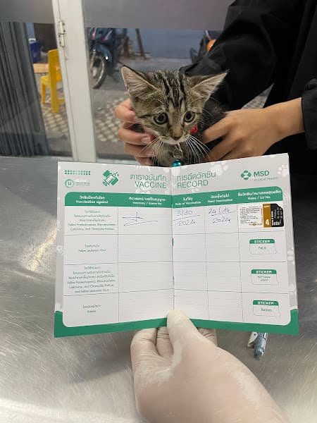 Hình ảnh Phòng Khám Thú Y Medi Pet - Đà Nẵng - 3