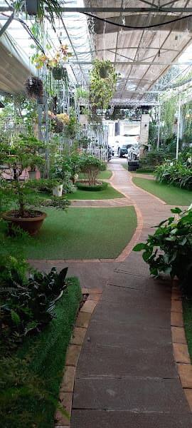 Hình ảnh 518 Coffee House - 5