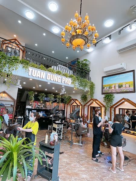 Ảnh bìa Tuấn Dũng Pro Hair Salon - 293 Nguyễn Văn Cừ