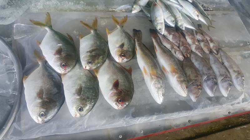 Hình ảnh Hải sản tươi sống Thuận Hải - 4