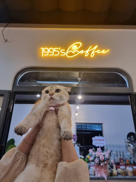 Ảnh bìa 1995's Coffee BMT