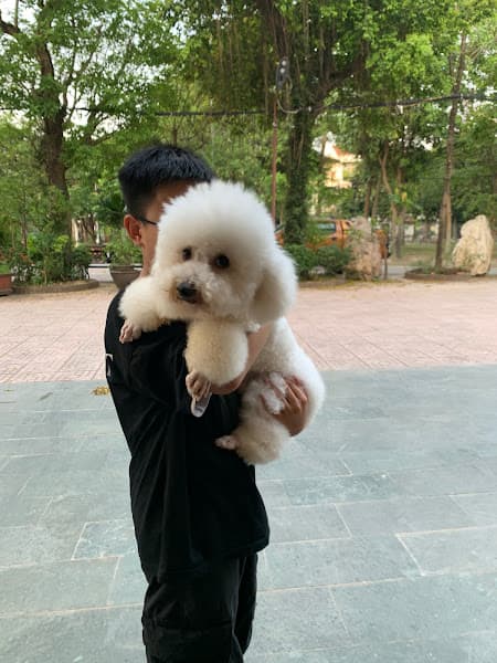 Hình ảnh Mei’s Pethouse - 3