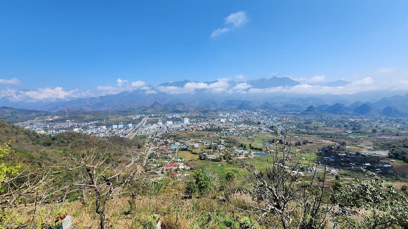 Hình ảnh Tam Duong Tea - 5