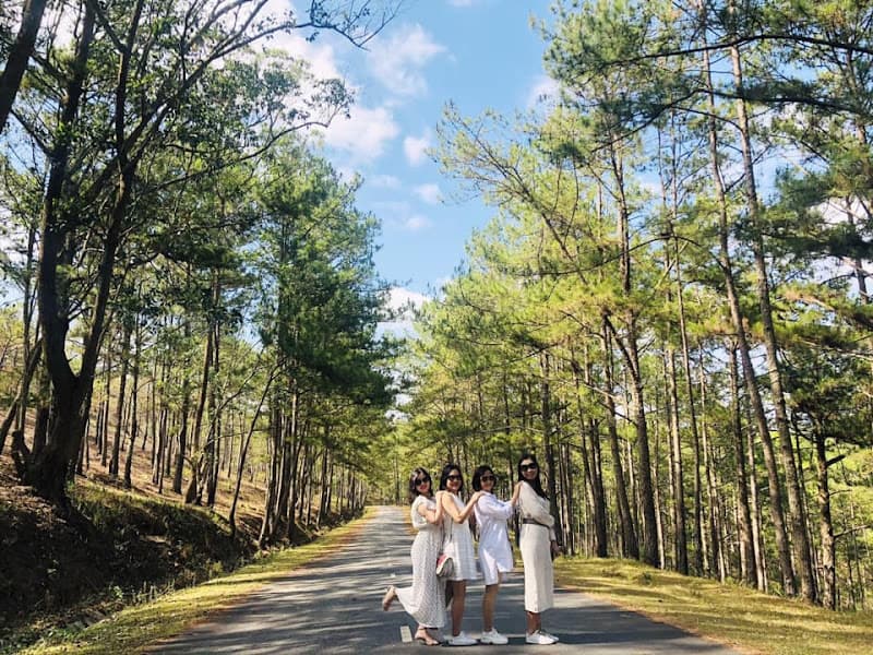 Hình ảnh Thung Lũng Vàng - 7