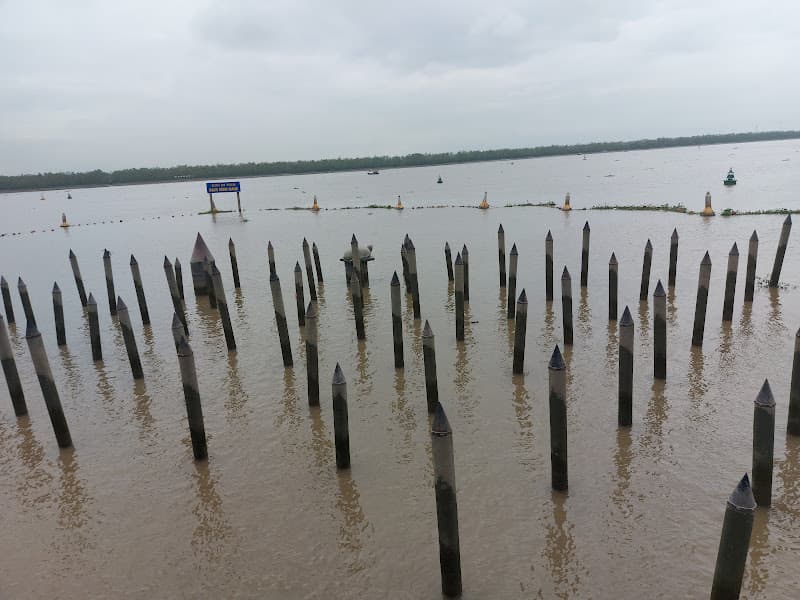 Hình ảnh Bãi cọc Yên Giang-Bạch Đằng - 5