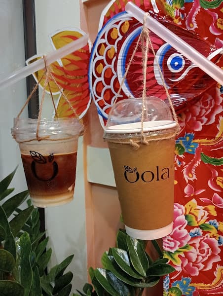 Hình ảnh Oola - Trà Ô Long Đậm Vị - 4