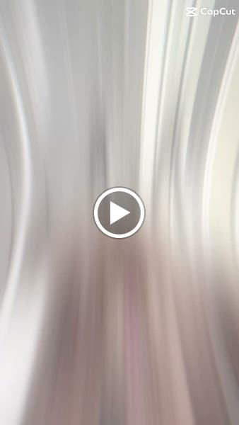 Hình ảnh Gấu Spa Thú Cưng- Spa Chó Mèo Đà Lạt Pet Shop - 4