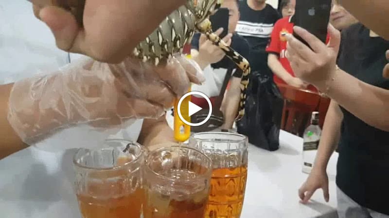 Hình ảnh Nhà Hàng Cây Bàng - 4