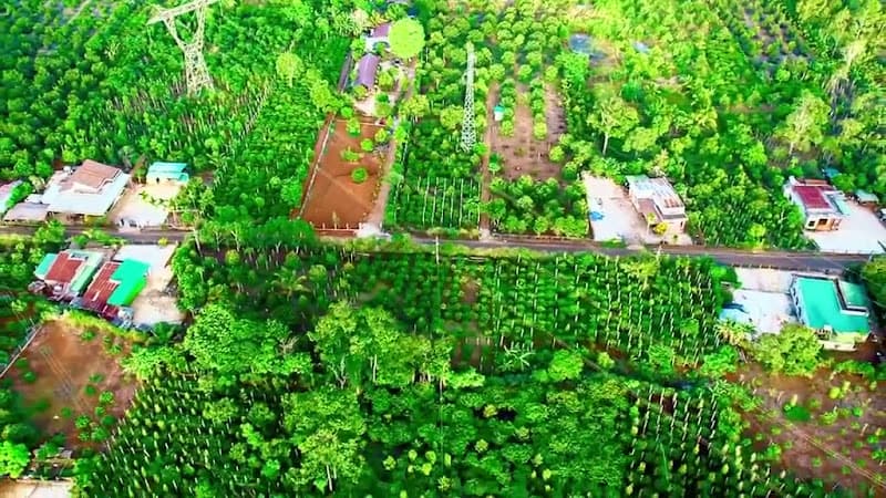 Hình ảnh Campingstar - 4