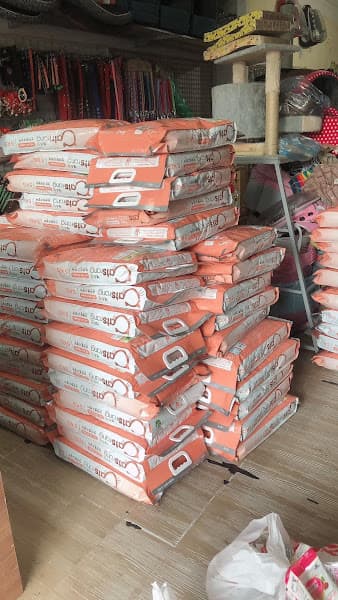 Hình ảnh Shop Thú Cưng Tuyên Quang-Chuyên Đồ cho Pet - 5