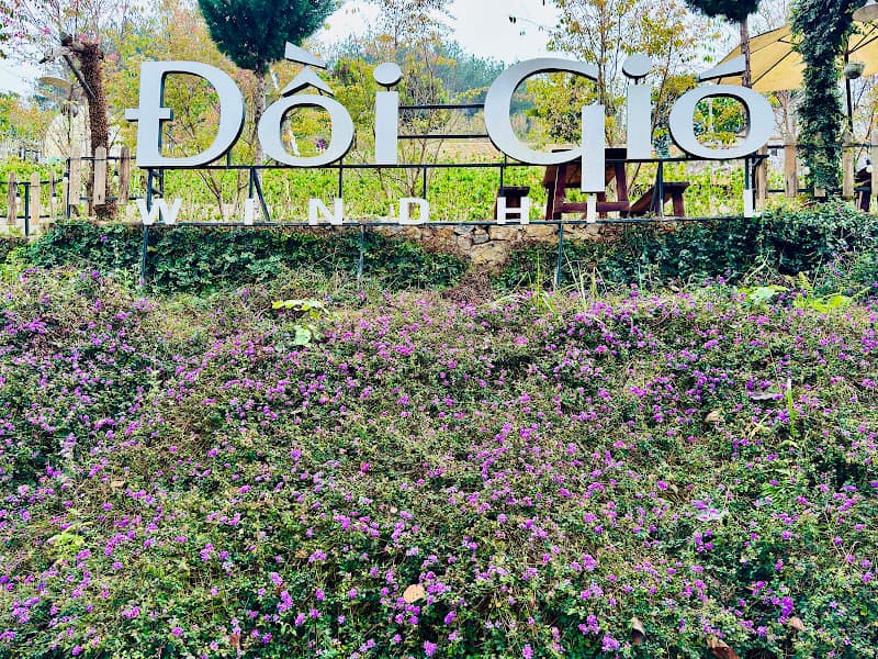 Hình ảnh Cafe Đồi Gió - 3