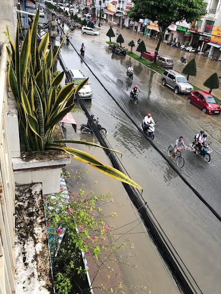 Hình ảnh Thuận Thông Yến Sào - 2