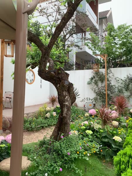 Hình ảnh JANGMI COFFEE - 3