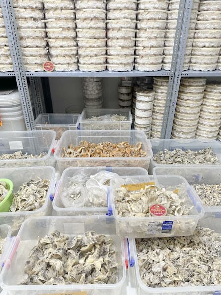 Ảnh bìa Yến Sào Đỉnh Phong