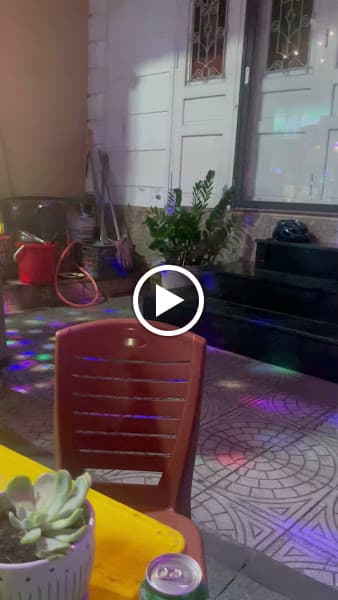 Hình ảnh D.Monkey -Cool Beer - Cocktails- Motorcycle Tour 🐒🇻🇳 - 2