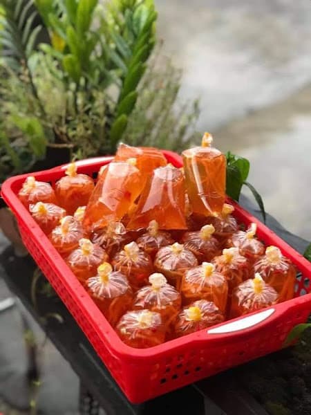 Hình ảnh Bánh Xèo 72 - 4