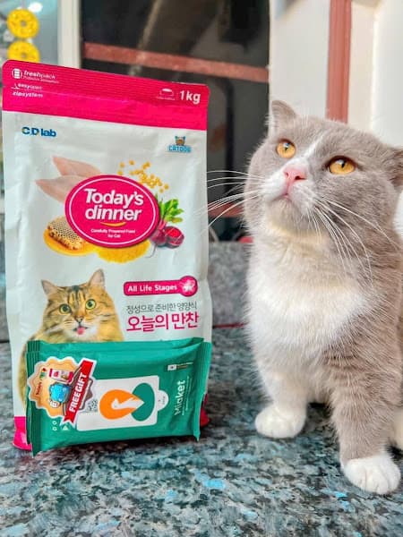 Hình ảnh Thức Ăn Chó Mèo Giá Sỉ Thanh Thảo - 3