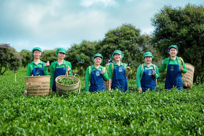 Hình ảnh CÔNG TY TNHH TRÀ PHÚ SỸ - 4