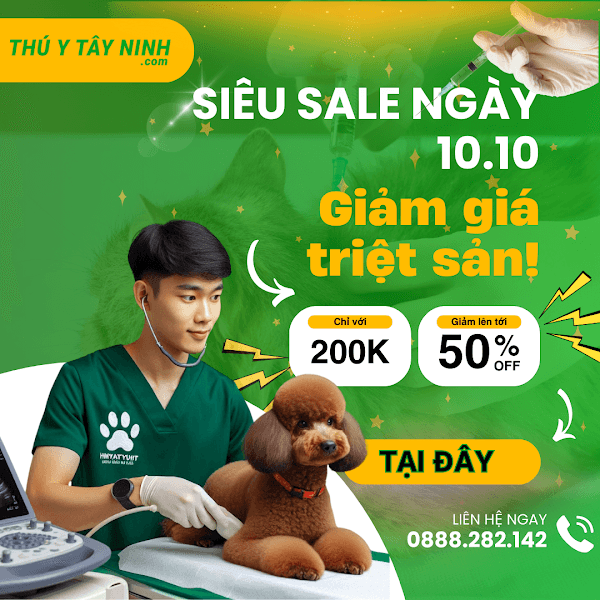 Hình ảnh Thú Y Tây Ninh - CMT8 - 4