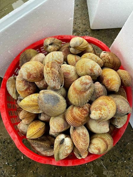 Hình ảnh Vựa Cua Cà Mau A Bi - 4