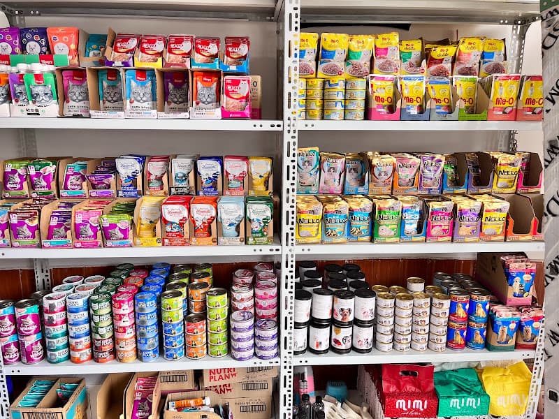 Hình ảnh The Corgi Đồ Ăn Phụ Kiện Spa Chó mèo - 4