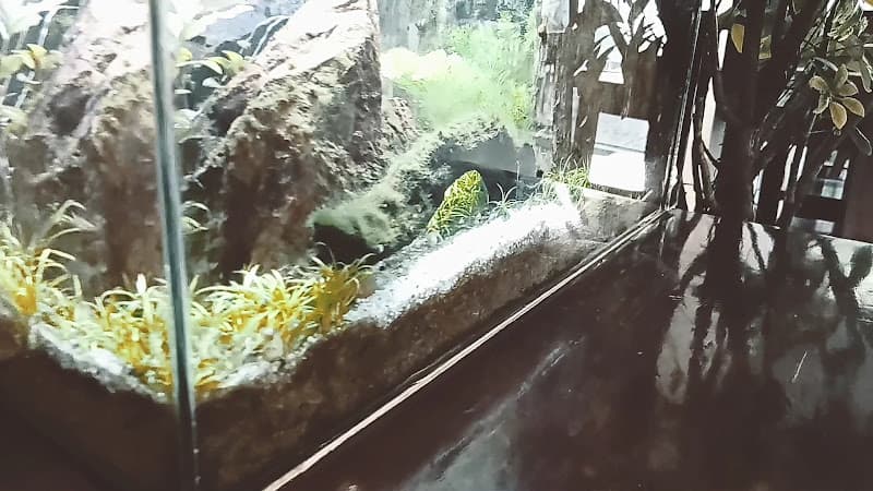 Hình ảnh CAFE SỐ - Cafe yên tĩnh - Cơm trưa văn phòng - 4