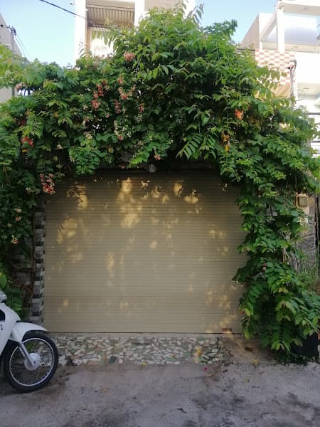 Hình ảnh Yến Sào - Tổ Yến Thô - Chưng - Cao Cấp - 3