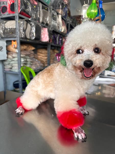 Hình ảnh Phòng Khám Thú Y Phước An - 2