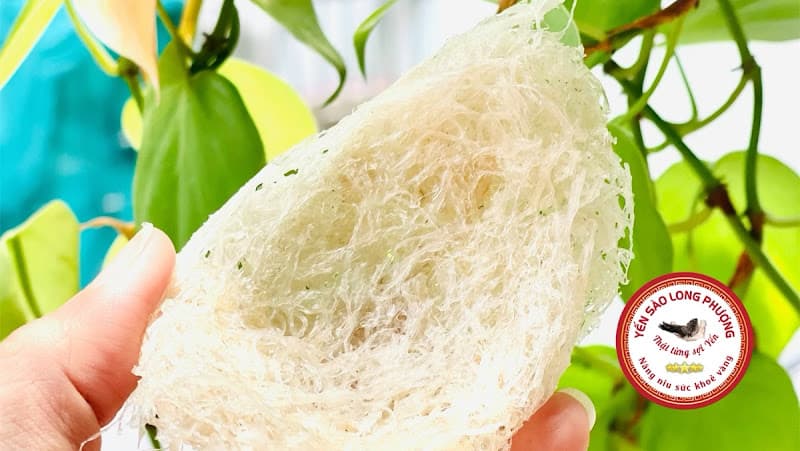 Hình ảnh Yến sào Long Phượng - 4
