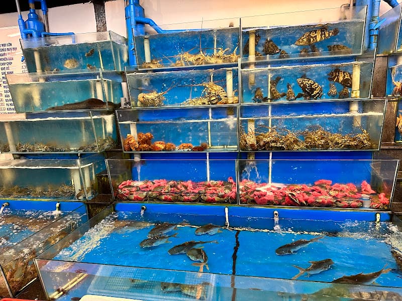 Nhà hàng CAMEL (Bạch Tuộc)