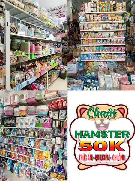 Hình ảnh Net Pet Shop Gia Lai - Chó mèo gia lai - Thú Cưng Gia Lai - 4