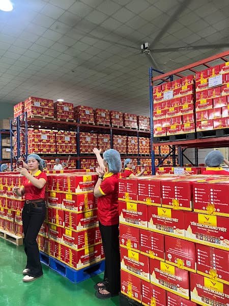 Hình ảnh Yến Sào Hoàng Việt - 2