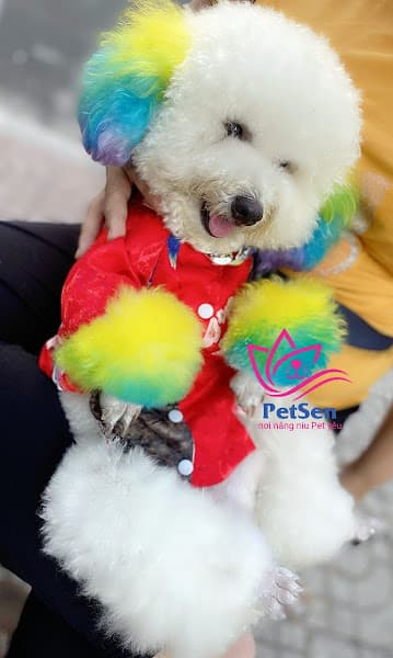 Petsen Đồng Tháp (pet shop)