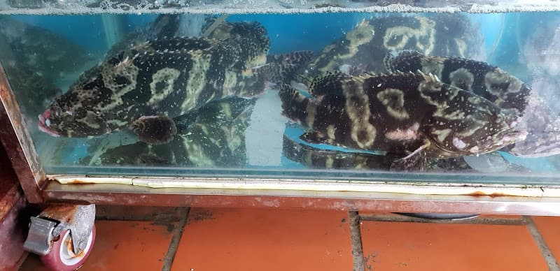 Hình ảnh Hải Sản THUẬN LỢI - 3