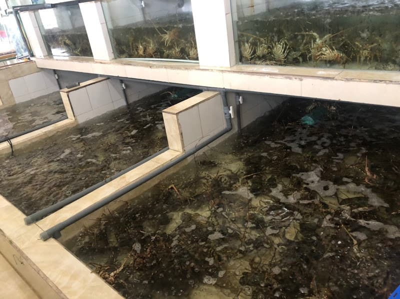 Hình ảnh Hải Sản Ngon Giá Rẻ Hải Phòng - Siêu Thị Hải Sản Lương Sơn - 4