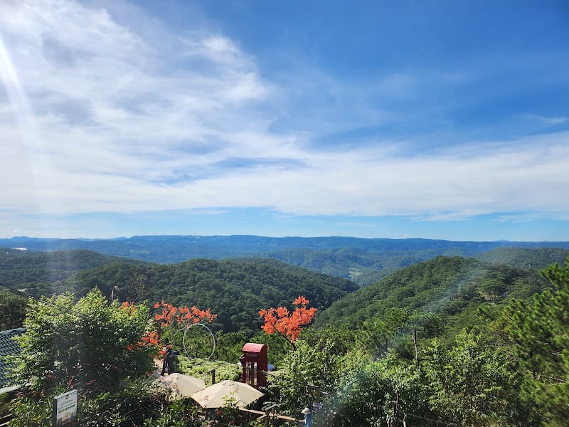 Hình ảnh Khu Du Lịch Cáp Treo Đà Lạt - 5