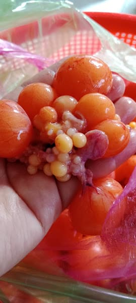 Hình ảnh LẨU GÀ LÁ É - 4