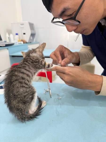 Ảnh bìa Bệnh Viện Thú Y 3 Vet