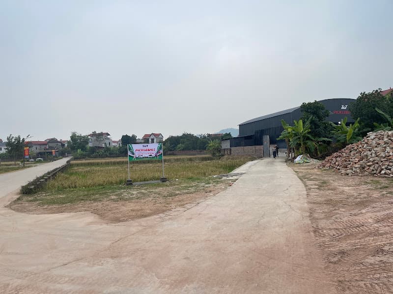 Hình ảnh Pickleball T&T - 2