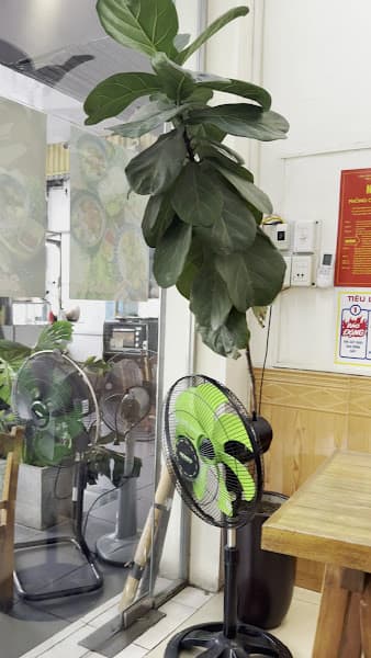 Hình ảnh Tiệm Trà Chanh 39 - 4