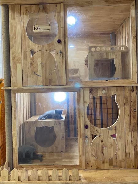 Hình ảnh Thế Giới Thú Cưng TP. Hồ Chí Minh - 4