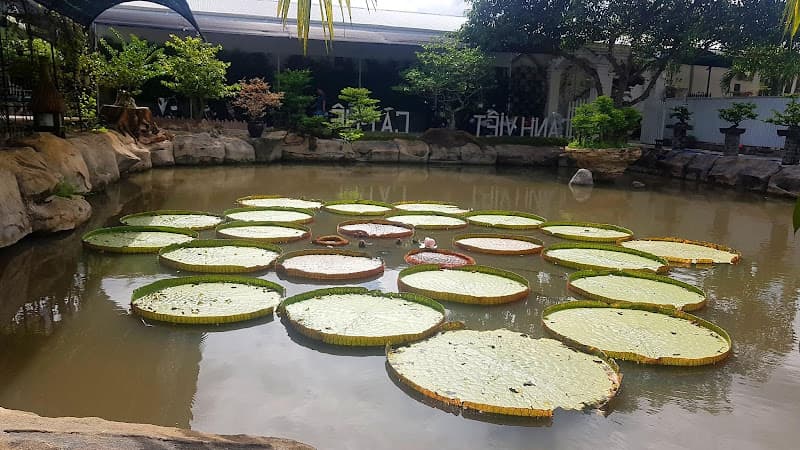 Hình ảnh Cà phê Chim cảnh Việt - 4
