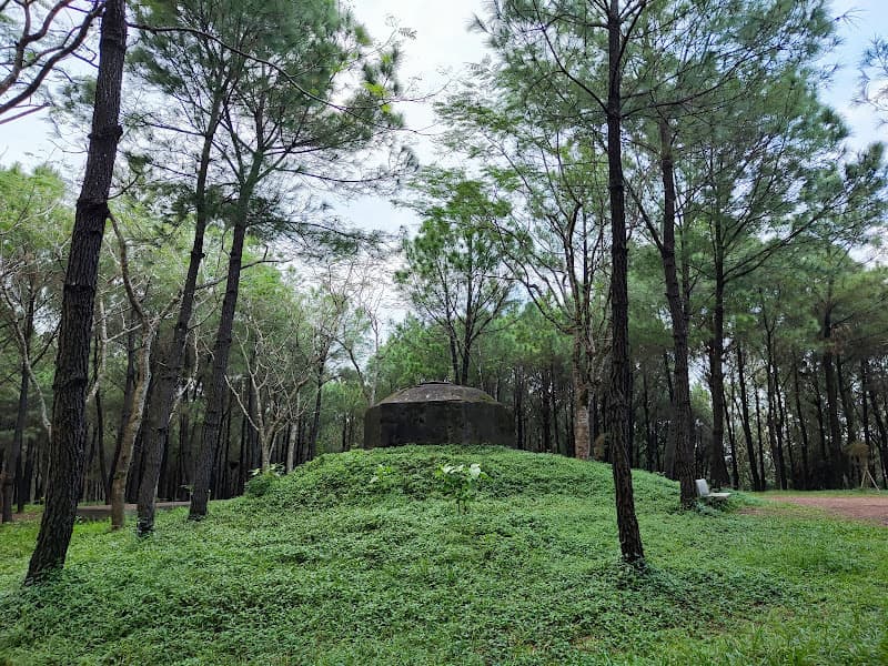 Hình ảnh The Hill (Bunker) - 2